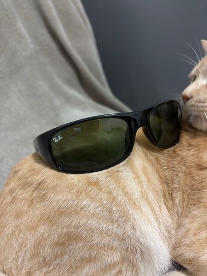 เเว่น Rayban  รูปที่ 3