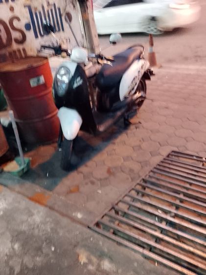 Honda 2000 scoopy I ปี 54