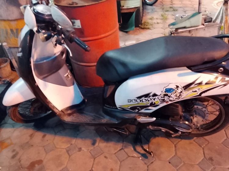 scoopy I ปี 54 รูปที่ 4