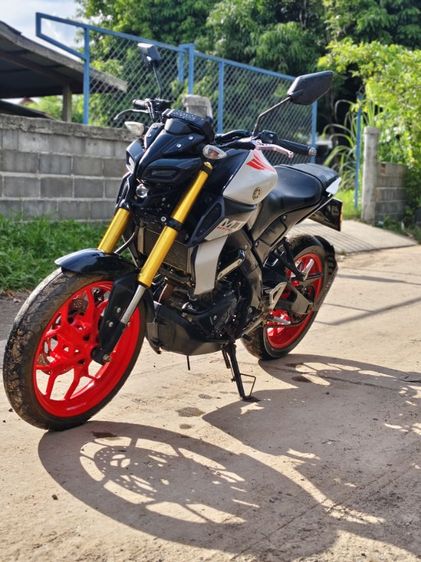 MT15 
