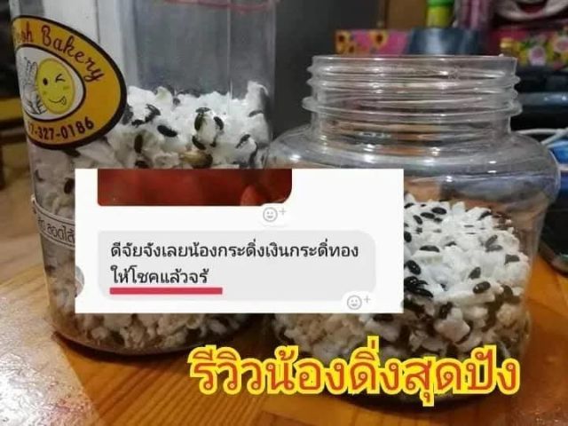น้องกระดิ่งเงินกระดิ่งทอง คุณกระดิ่งเงินกระดิ่งทอง เสริมดวง ค้าขาย โชคลาภ การงาน การเงิน ร่ำรวย รูปที่ 2