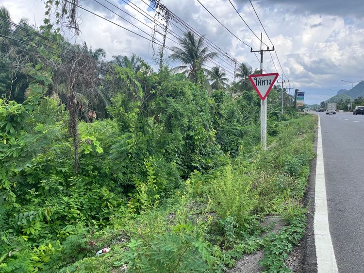 ที่ดินติดถนนใหญ่ รูปที่ 2