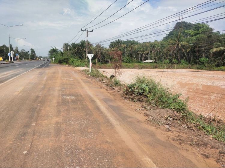 ที่ดินติดถนนใหญ่ รูปที่ 3