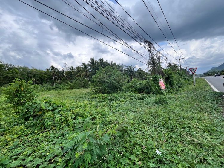 ที่ดินติดถนนใหญ่