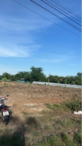 ขายที่ดินติดถนน 2ไร่ ต.หนองสาหร่าย จ.สุพรรณบุรี รูปที่ 3