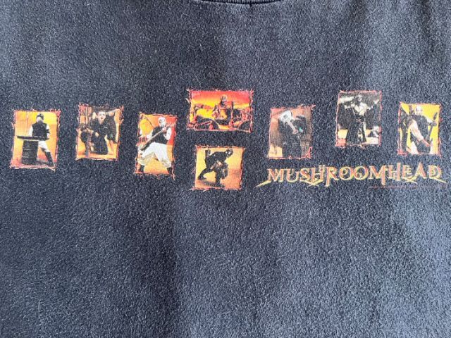 T-shirt  Mushroomhead 2002


Size : xL อก 23"-23.5"x 28.5"

TAG: cygnus รูปที่ 3
