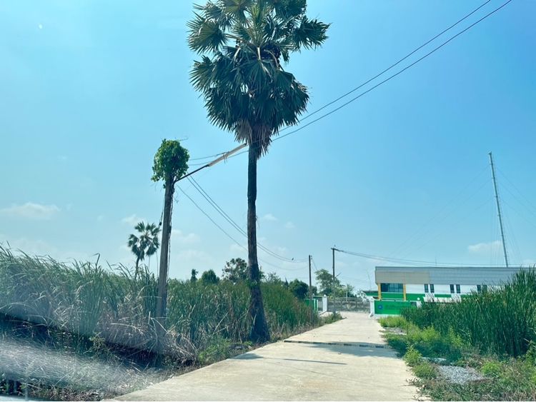 ใช่ ขายที่ดิน 120 ตร.ว. รูปที่ 4