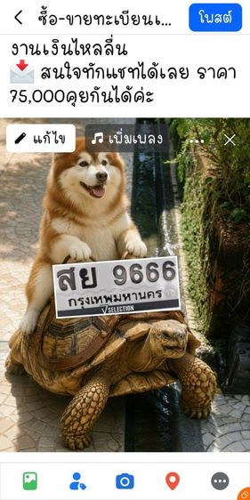 ป้ายทะเบียนรถ