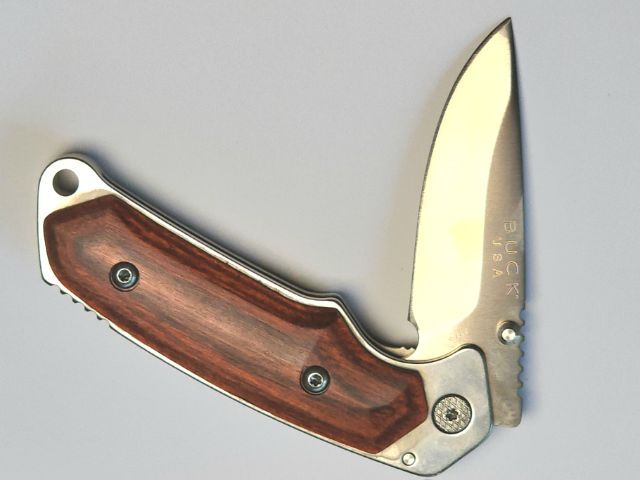 Buck Alpha Hunter folding knife