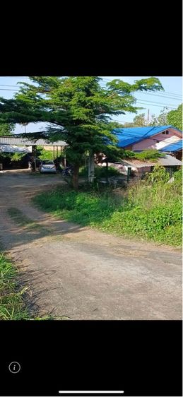 บ้านและที่ดิน รูปที่ 3