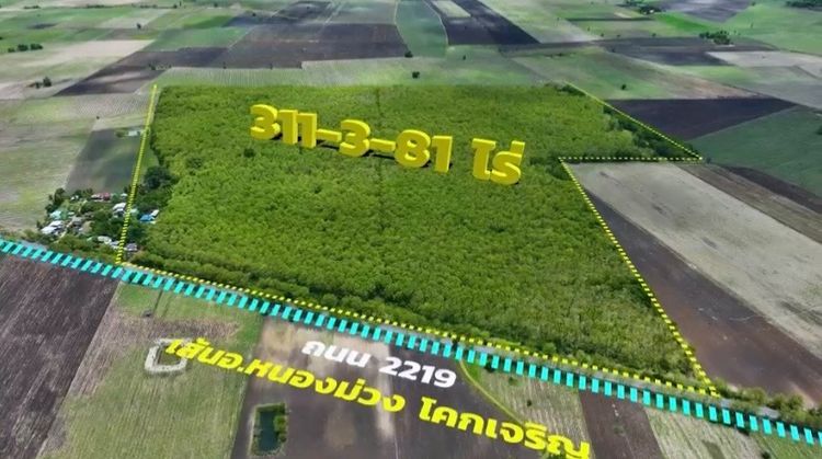 🌳 ขายที่ดินพร้อมสวนป่าสัก อายุ 30 ปีเต็ม 🌳 รูปที่ 2