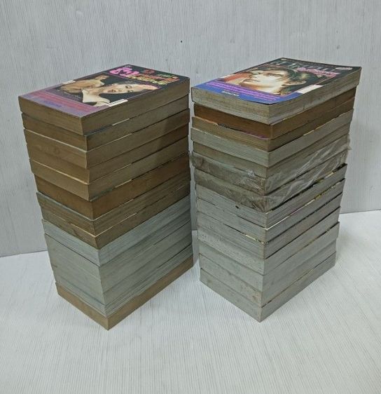 หนังสือการ์ตูน ยิงสวนตะวัน รูปที่ 6