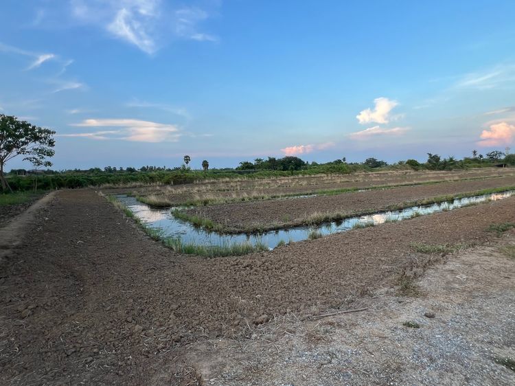 ขายที่ดิน 4ำร่ รูปที่ 3