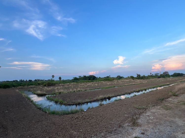 ขายที่ดิน 4ำร่ รูปที่ 4