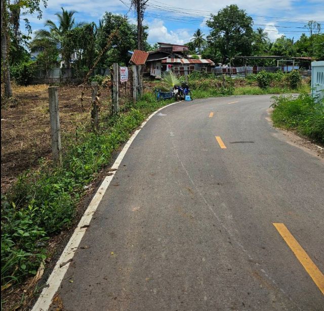 ใช่ ขายที่ดินเปล่า 5งาน 55ตรว. (555ตรว.)ในเขตเทศบาล อ.คอนสาร จ.ชัยภูมิ รูปที่ 2
