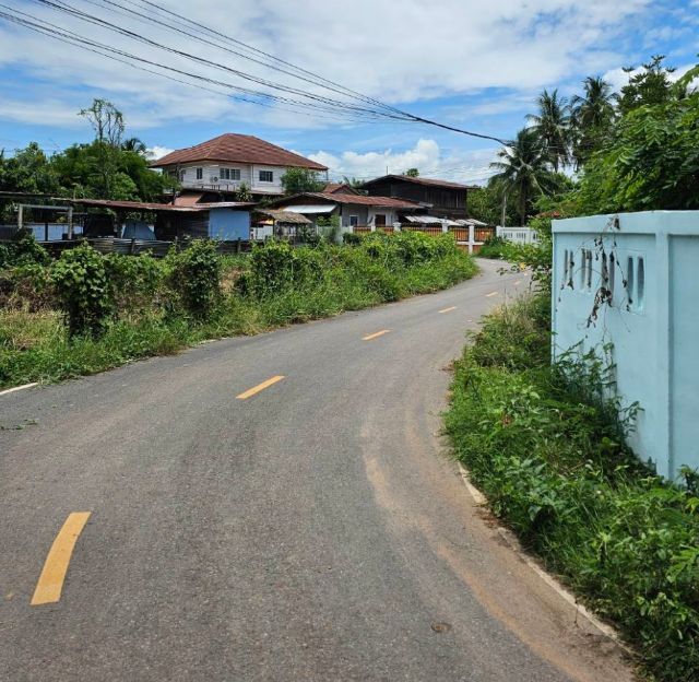 ใช่ ขายที่ดินเปล่า 5งาน 55ตรว. (555ตรว.)ในเขตเทศบาล อ.คอนสาร จ.ชัยภูมิ รูปที่ 4