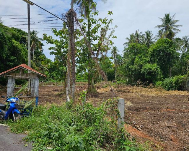 ขายที่ดินเปล่า 5งาน 55ตรว. (555ตรว.)ในเขตเทศบาล อ.คอนสาร จ.ชัยภูมิ