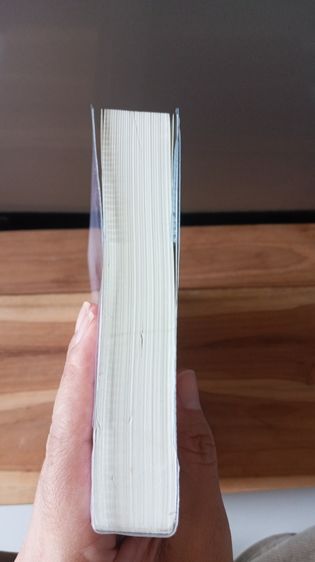 ขายนิยายนามปากกาพลิ้วอ่อน 3 เล่ม รูปที่ 5