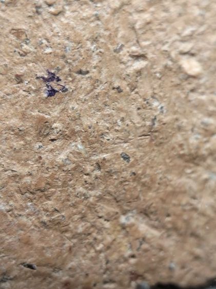 ขุนแผนพลายคู่ตัดเดี่ยวครับ รูปที่ 12
