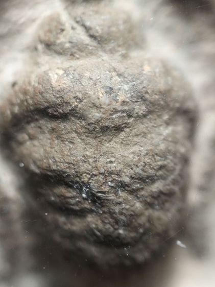 ขุนแผนพลายคู่ตัดเดี่ยวครับ รูปที่ 2