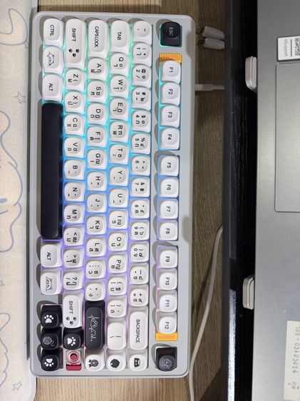 คีย์บอร์ด Evoworks Evo75 ของ keypro 