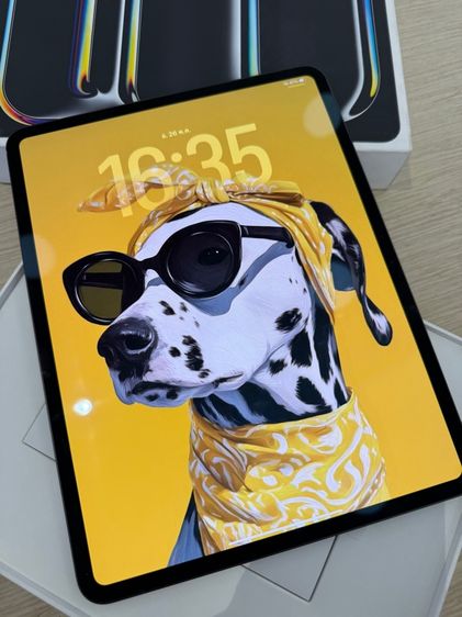 Apple 256 GB Ipad Pro M4 wifi 256gb (13”)