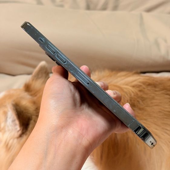 I Phone 12 Promax รูปที่ 7