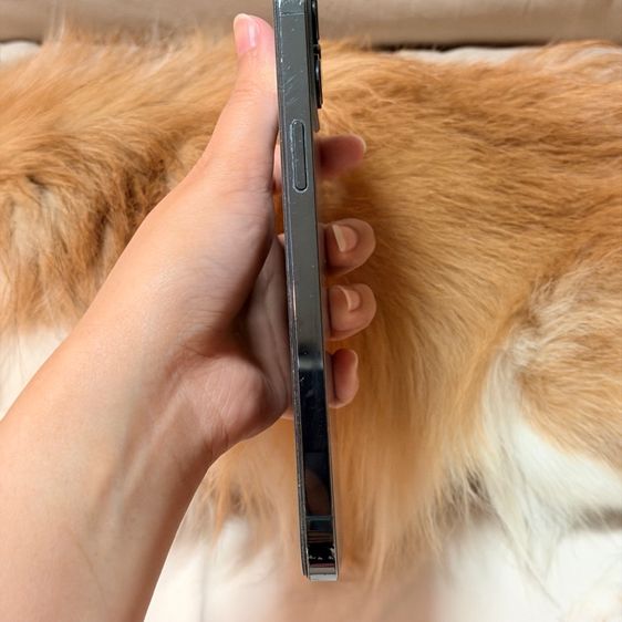 I Phone 12 Promax รูปที่ 4
