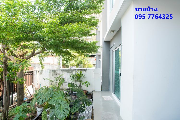 Pruksa มีบางส่วน 2015 ขายบ้านพฤกษาวิลล์ 77 สาย 4 (เจ้าของขายเอง)  รูปที่ 2