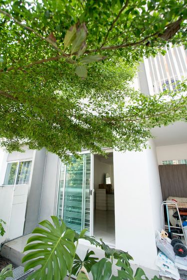 ขายบ้านพฤกษาวิลล์ 77 สาย 4 (เจ้าของขายเอง) 
