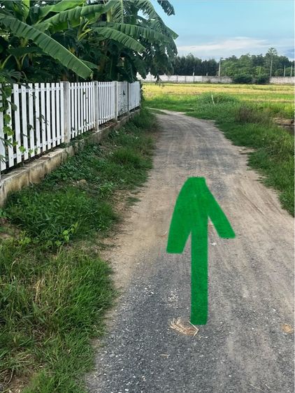 ที่ดินเปล่าสวยๆย่านสันกำแพง รูปที่ 3