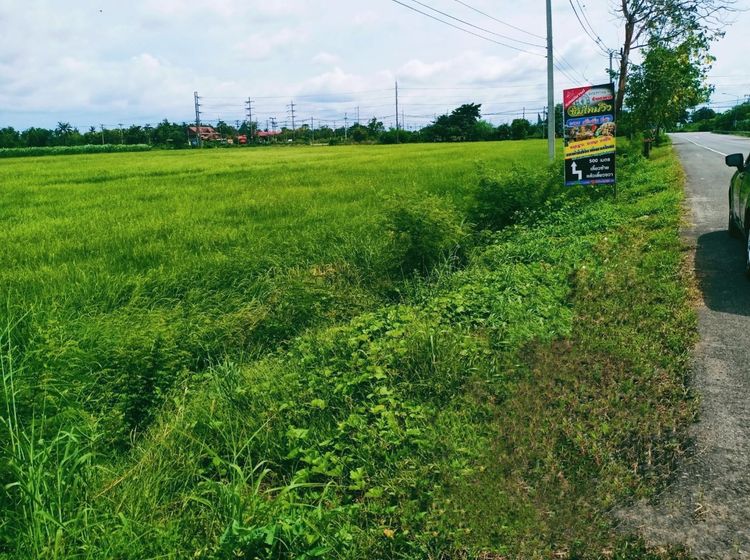 ขายที่ดิน แปลงสวย ทำเลดี ที่อัมพวา รูปที่ 2