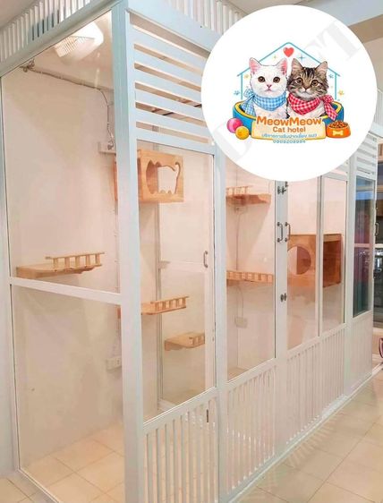 เซ้งโรงแรมแมว ร้านสวย ทำเลดี  มีลูกค้าประจำ รูปที่ 8