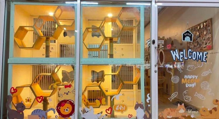 เซ้งโรงแรมแมว ร้านสวย ทำเลดี  มีลูกค้าประจำ รูปที่ 3