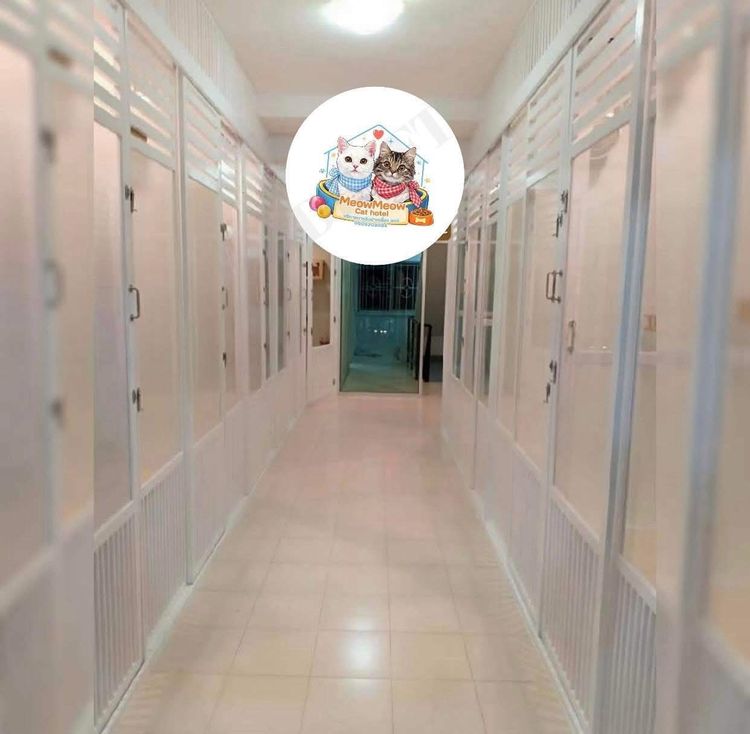 เซ้งโรงแรมแมว ร้านสวย ทำเลดี  มีลูกค้าประจำ รูปที่ 6