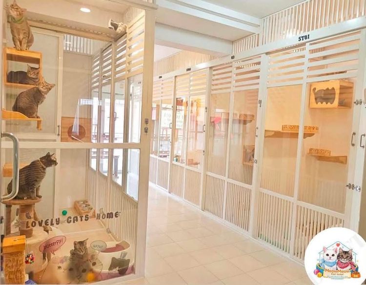 เซ้งโรงแรมแมว ร้านสวย ทำเลดี  มีลูกค้าประจำ รูปที่ 5