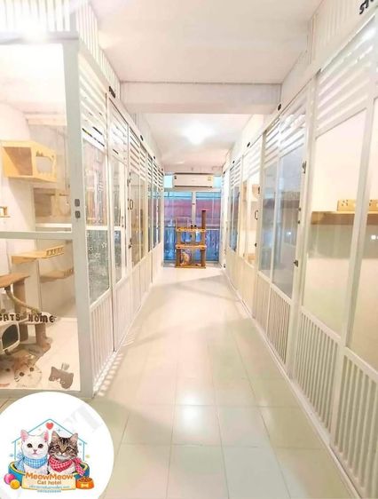 เซ้งโรงแรมแมว ร้านสวย ทำเลดี  มีลูกค้าประจำ รูปที่ 4
