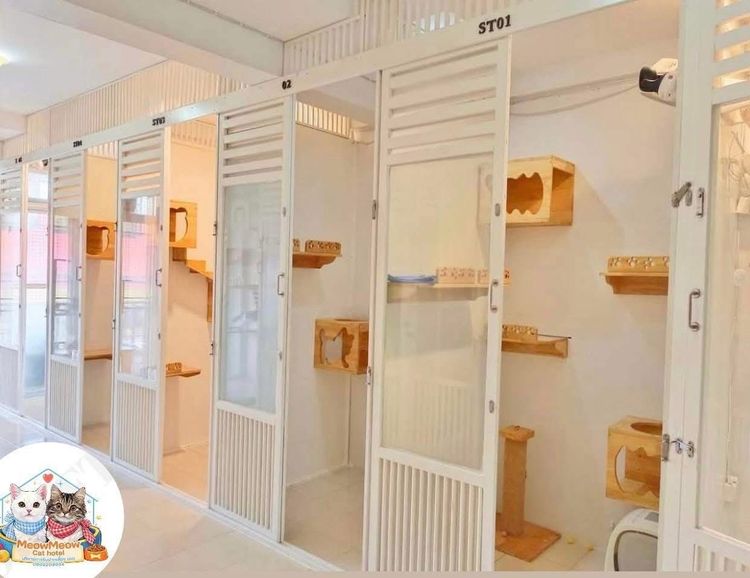 เซ้งโรงแรมแมว ร้านสวย ทำเลดี  มีลูกค้าประจำ