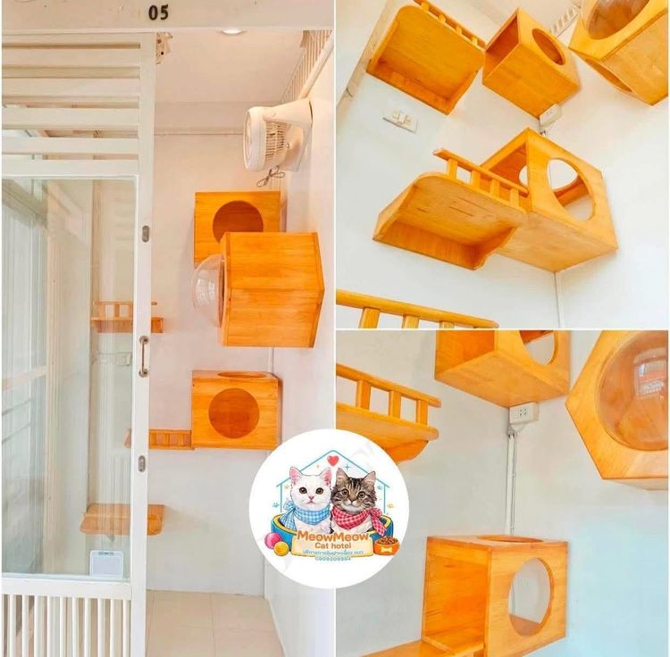 เซ้งโรงแรมแมว ร้านสวย ทำเลดี  มีลูกค้าประจำ รูปที่ 7