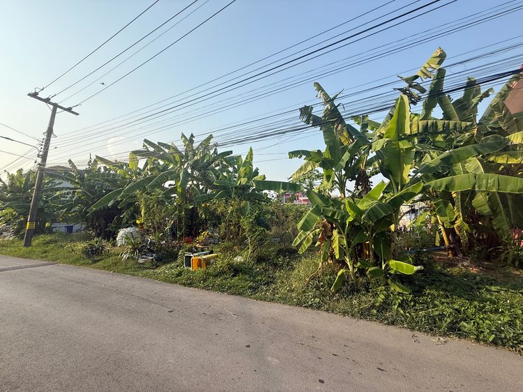 ขายที่ดินถมแล้ว ใกล้สวนหลวง ร.9 บึงหนองบอน รูปที่ 2