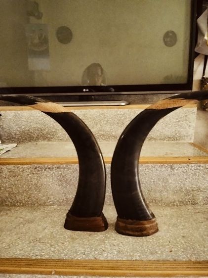 เขาควายแกะสลักทรงสวย รูปที่ 3