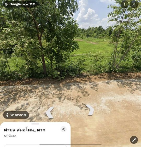 ใช่ ที่ดิน 19ไร่1งาน 10 ตรว. พร้อมต้นสัก ติดถนนปูน รูปที่ 4