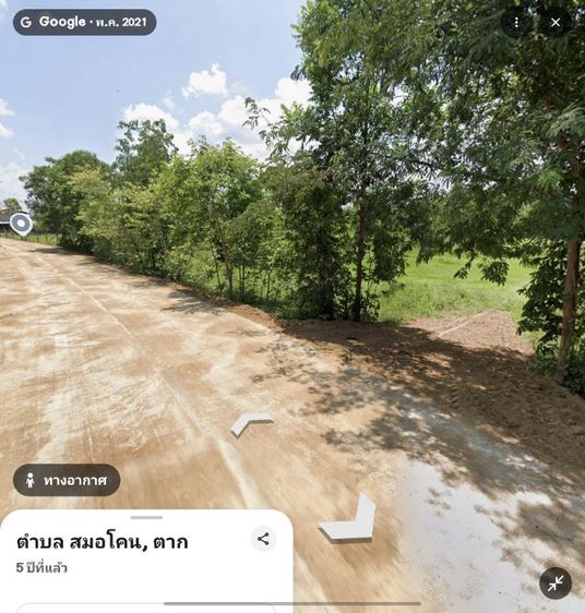 ใช่ ที่ดิน 19ไร่1งาน 10 ตรว. พร้อมต้นสัก ติดถนนปูน รูปที่ 3