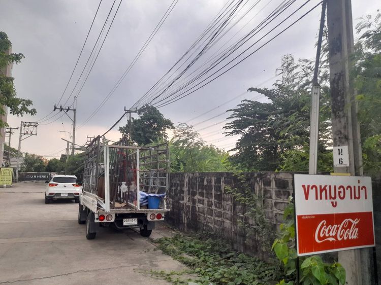 ขายที่ดินแนวเขตรถไฟฟ้า ถ.แจ้งวัฒะ รูปที่ 4