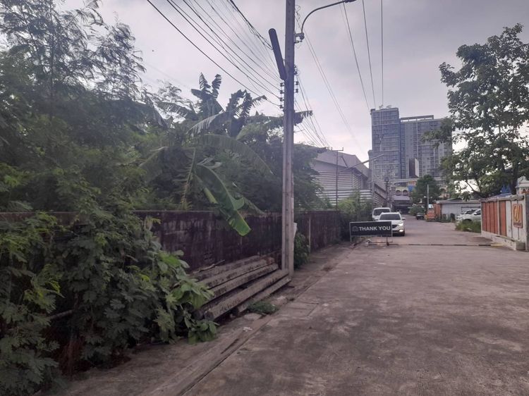 ขายที่ดินแนวเขตรถไฟฟ้า ถ.แจ้งวัฒะ รูปที่ 3