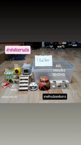 ขายเหมาอุปกรณ์หนูแฮมสเตอร์