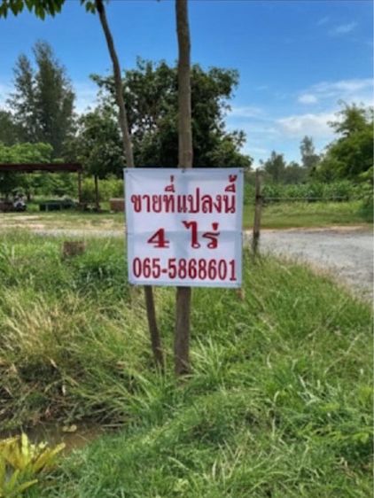 ขายที่ดิน 4ไร่ 5.2 ล้าน 