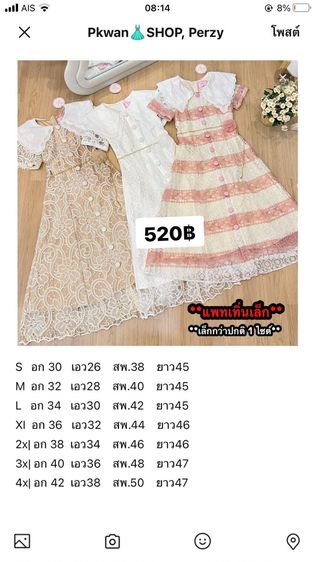 อื่นๆ เนื้อ แขนสั้น เดรส มือสอง