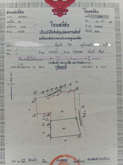  ขายสวนยาง 20 ไร่ 2 งาน 34 ตรว. ยางตัดได้ต่อเนื่อง ขาย 6 ล้าน