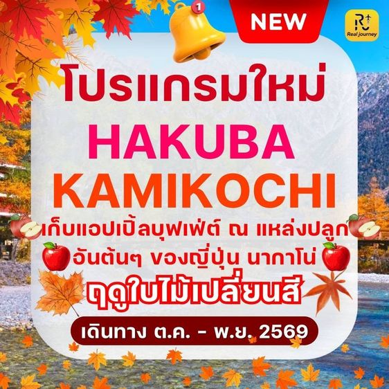 ทัวร์ญี่ปุ่น ฮาคุบะ คามิโคจิ 5วัน 3คืน